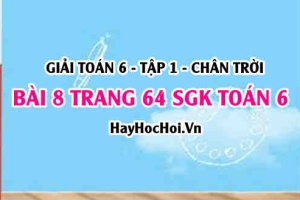 Giải bài 8 trang 64 Toán 6 Tập 1 SGK Chân trời sáng tạo